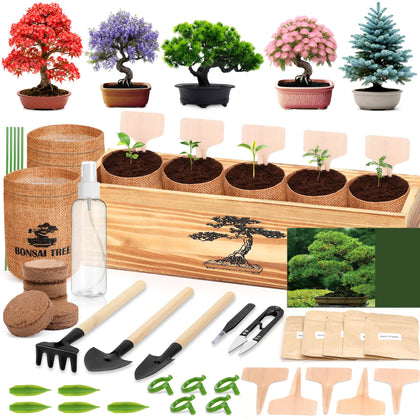 BuggyBeds bonsai kit wooden box with tools for an organized beginner setup.