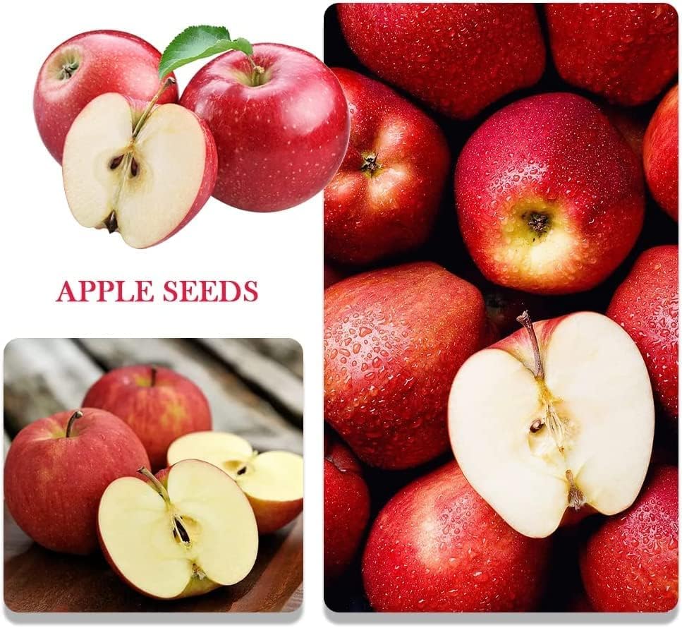 BuggyBeds apple seeds pack front view offers crisp homegrown fruit possibilities