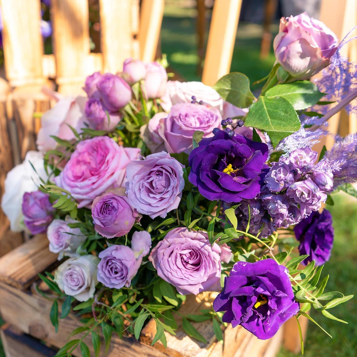 BuggyBeds Eustoma Lisianthus seeds germinating to form long-stem blooms