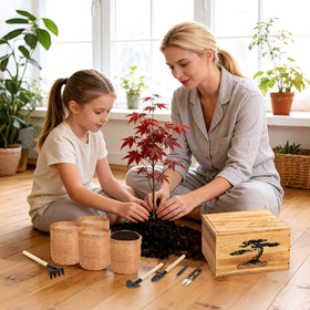 BuggyBeds gift-ready packaging ideal for plant lovers.
