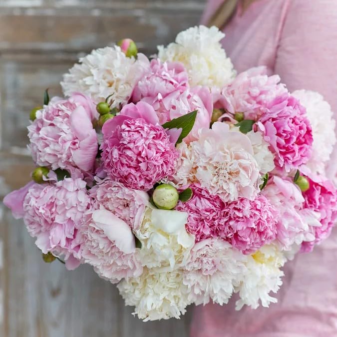 BuggyBeds heirloom non-gmo peony offers trusted garden seeds.