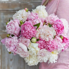 BuggyBeds heirloom non-gmo peony offers trusted garden seeds.