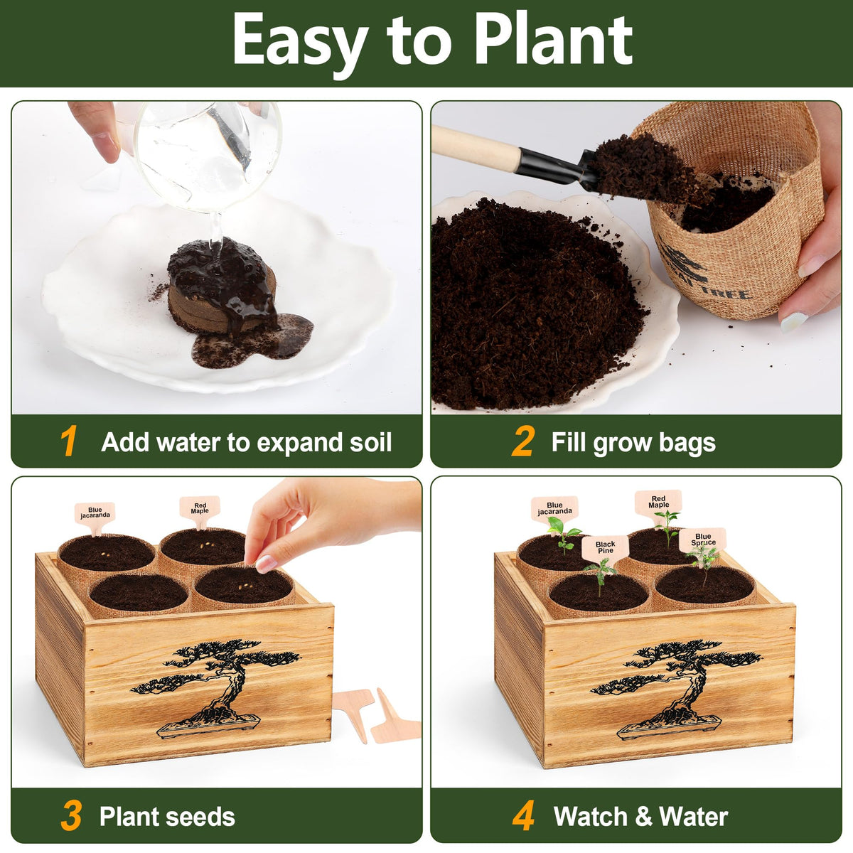 BuggyBeds indoor garden setup on a shelf.