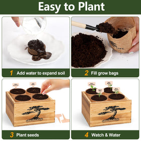 BuggyBeds indoor garden setup on a shelf.