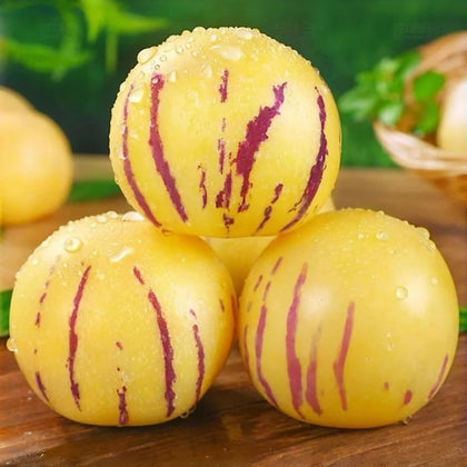 BuggyBeds Pepino Melon seeds packet for reliable germination in home gardens.