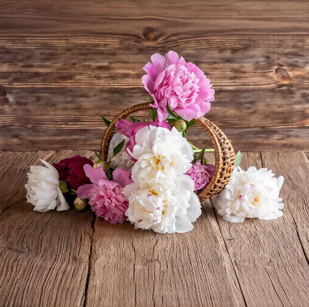 BuggyBeds perennial garden peony promises year-after-year blooming displays.