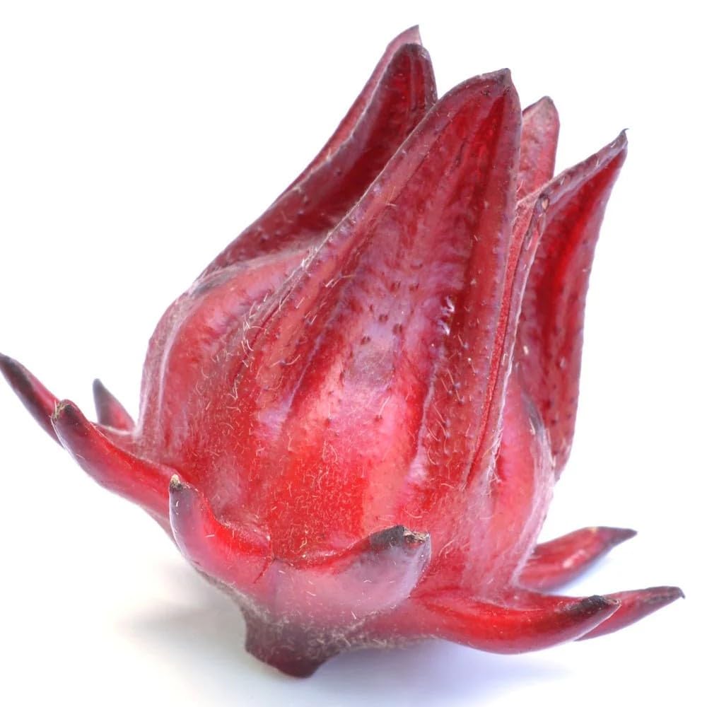 BuggyBeds Roselle calyx closeup showing vibrant red fruit ideal for teas.