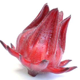 BuggyBeds Roselle calyx closeup showing vibrant red fruit ideal for teas.