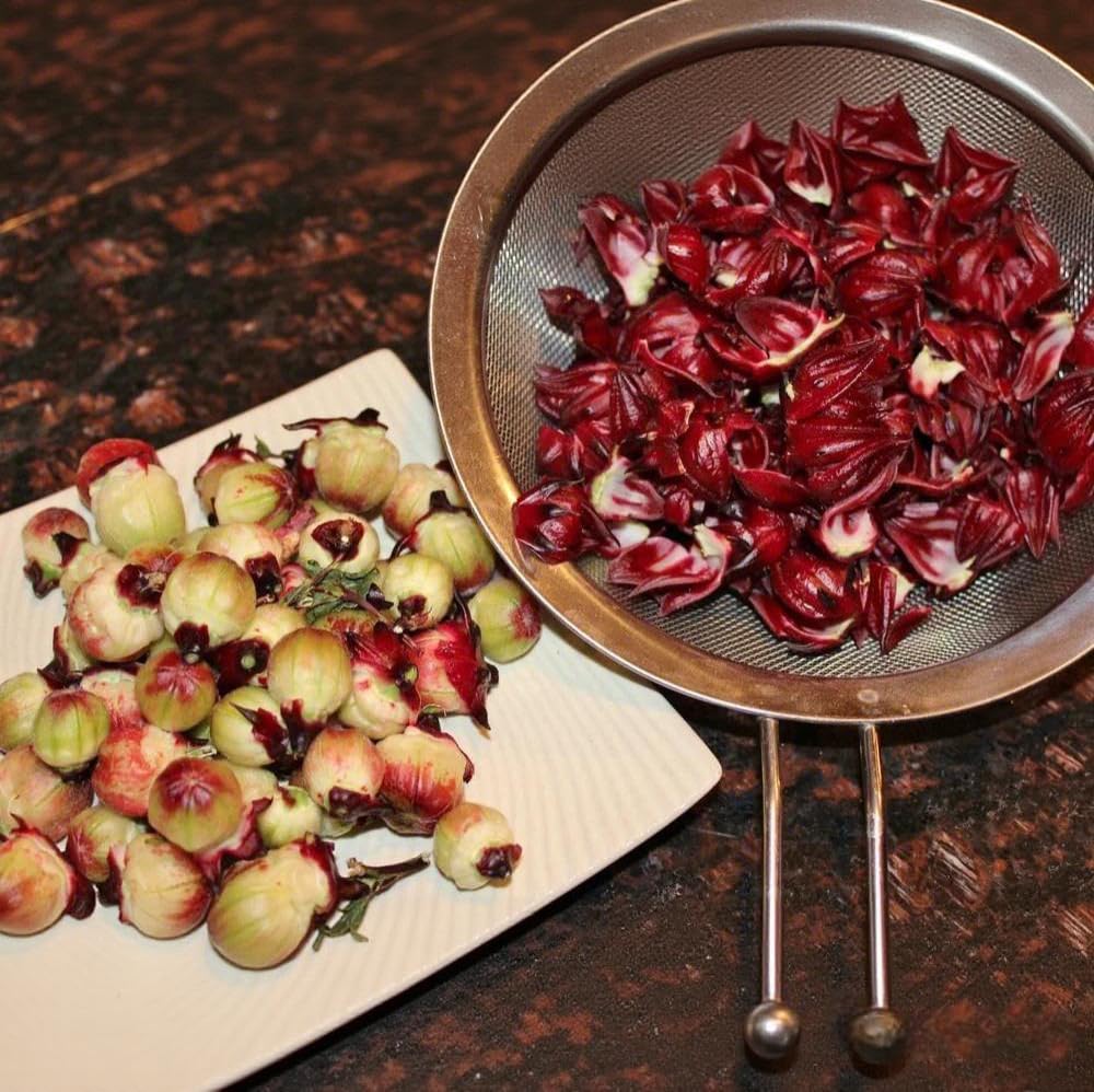 BuggyBeds Roselle seeds for tea, jam, and jelly preparations.