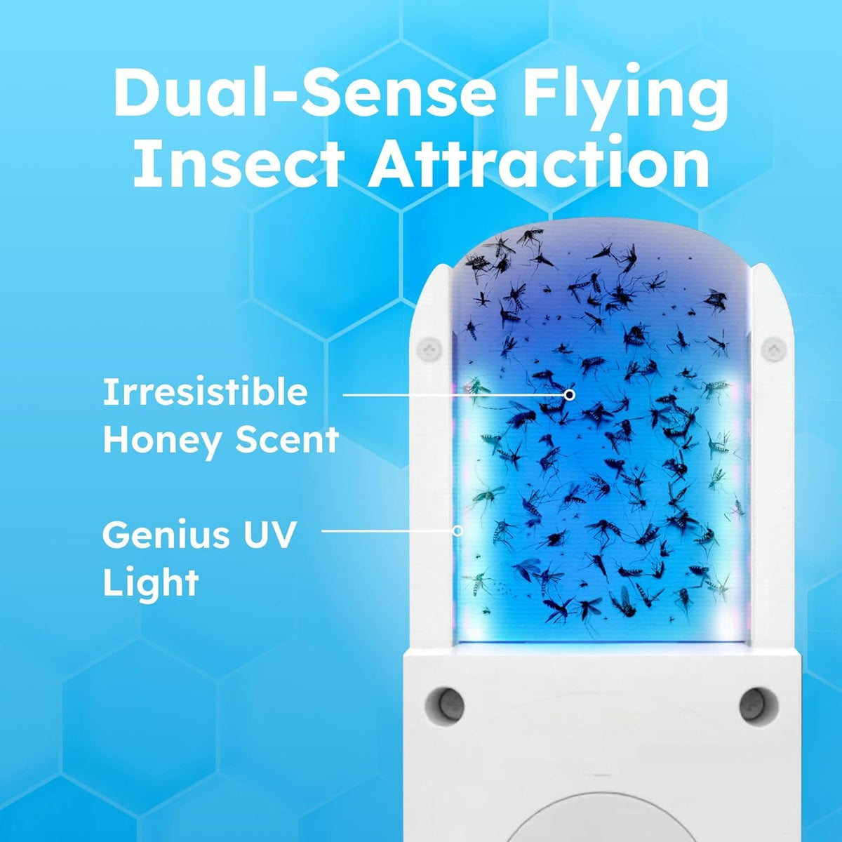 BugMD No Buzz Zone honey-scent pads for chemical-free attraction.