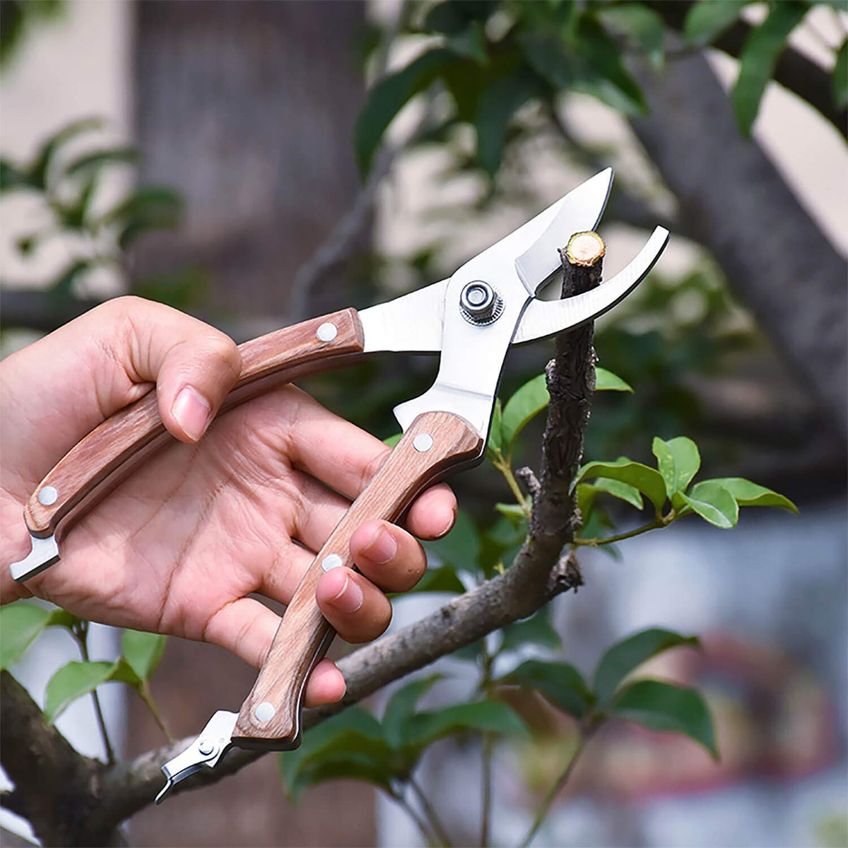 BUGUI ergonomic balanced wood handles provide comfortable grip