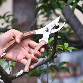 BUGUI ergonomic balanced wood handles provide comfortable grip