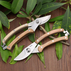 BUGUI garden pruning shears in action for flowers and vines