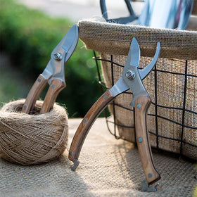 BUGUI gift-ready packaging makes a thoughtful garden gift