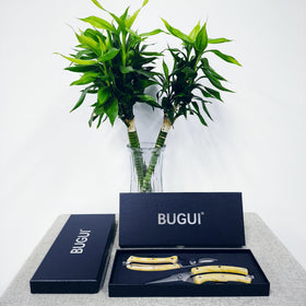 BUGUI secure lock design keeps blades safely closed