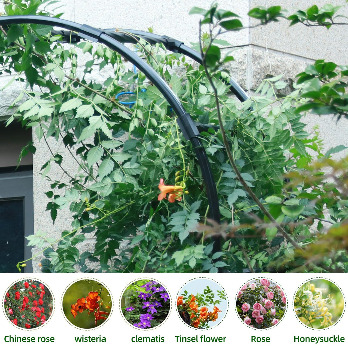 BUKLIYN arch trellis assembly-ready design simplifies setup in minutes.