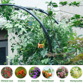 BUKLIYN arch trellis assembly-ready design simplifies setup in minutes.