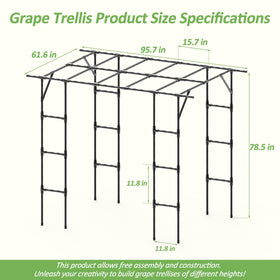 BUKLIYN cucumber trellis arch black adds vertical interest while organizing vegetables.