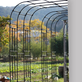 BUKLIYN easy-to-use arch trellis creates a natural garden entryway.