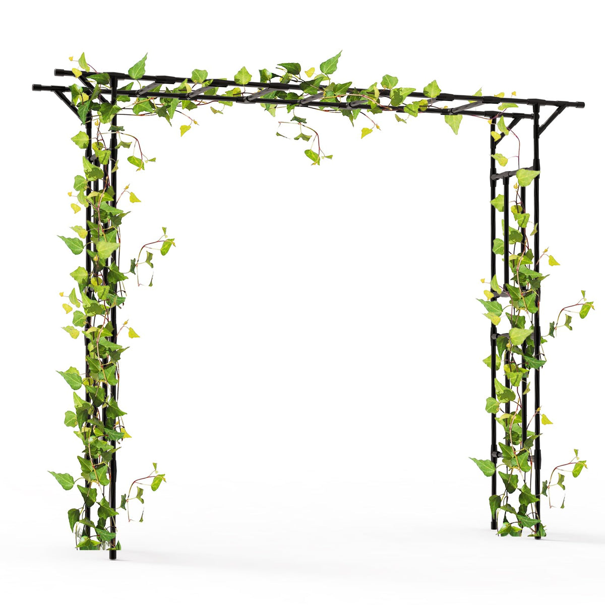 BUKLIYN Garden Arch 100in length creates a grand lawn entry for events.