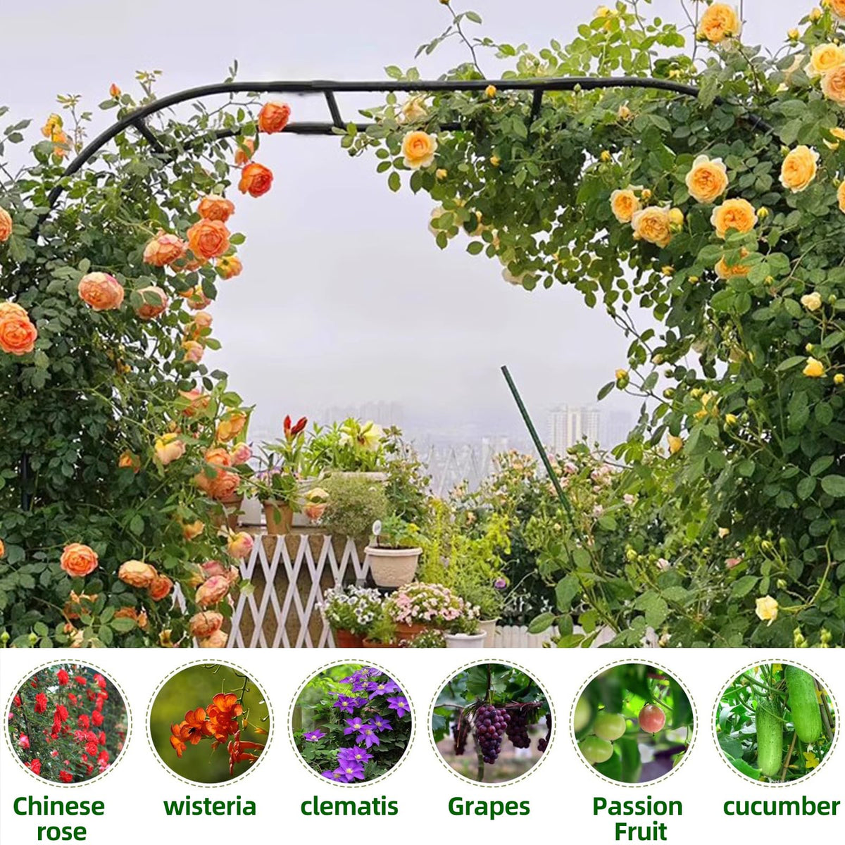 BUKLIYN garden arch trellis supports roses and vines for lush growth.