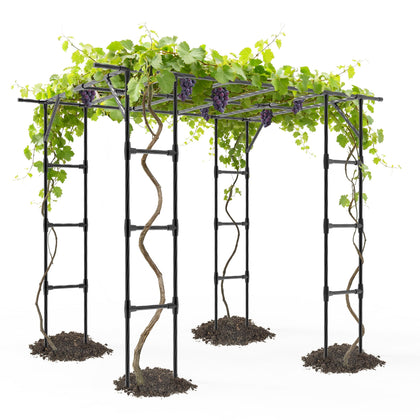 BUKLIYN grape vine trellis arch black supports climbing plants and creates a dramatic garden entry.