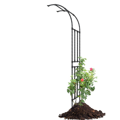 BUKLIYN half-sided arch wall trellis supports climbing plants in the garden.