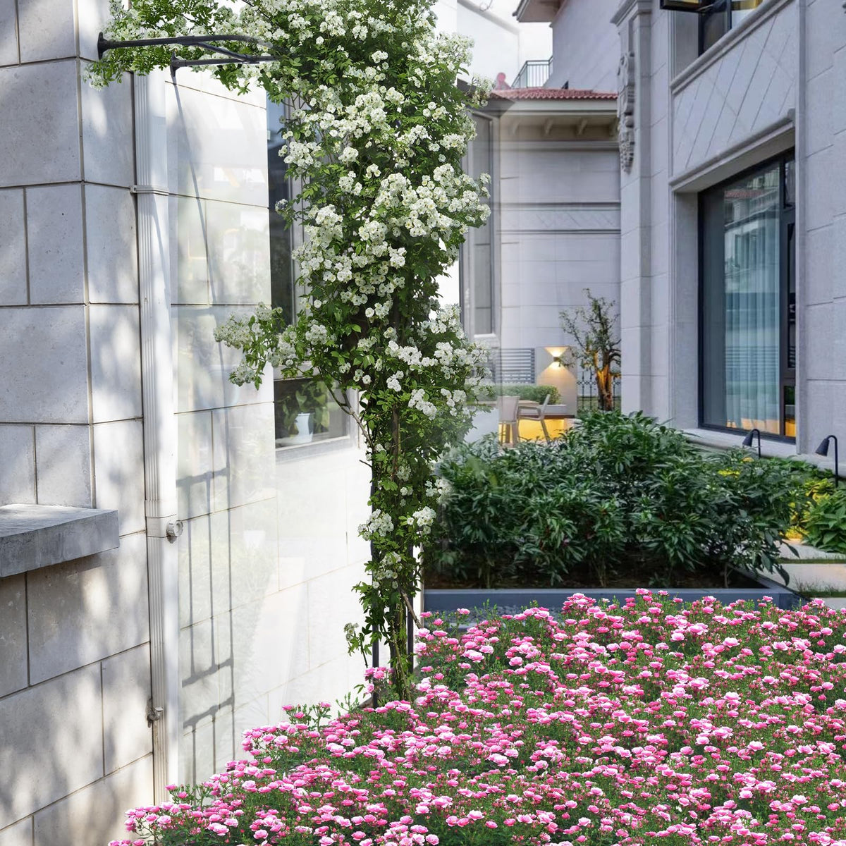 BUKLIYN Patio courtyard arch trellis adds height and contrast to landscape
