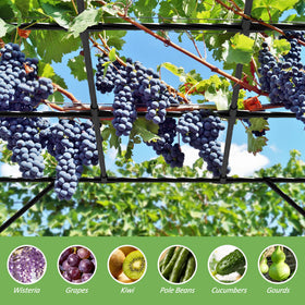 BUKLIYN rust-resistant steel trellis stays durable in weather for long-term outdoor use.