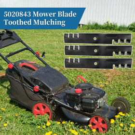 Out-of-box view of Bularie 5020843 blades with safety-painted edge