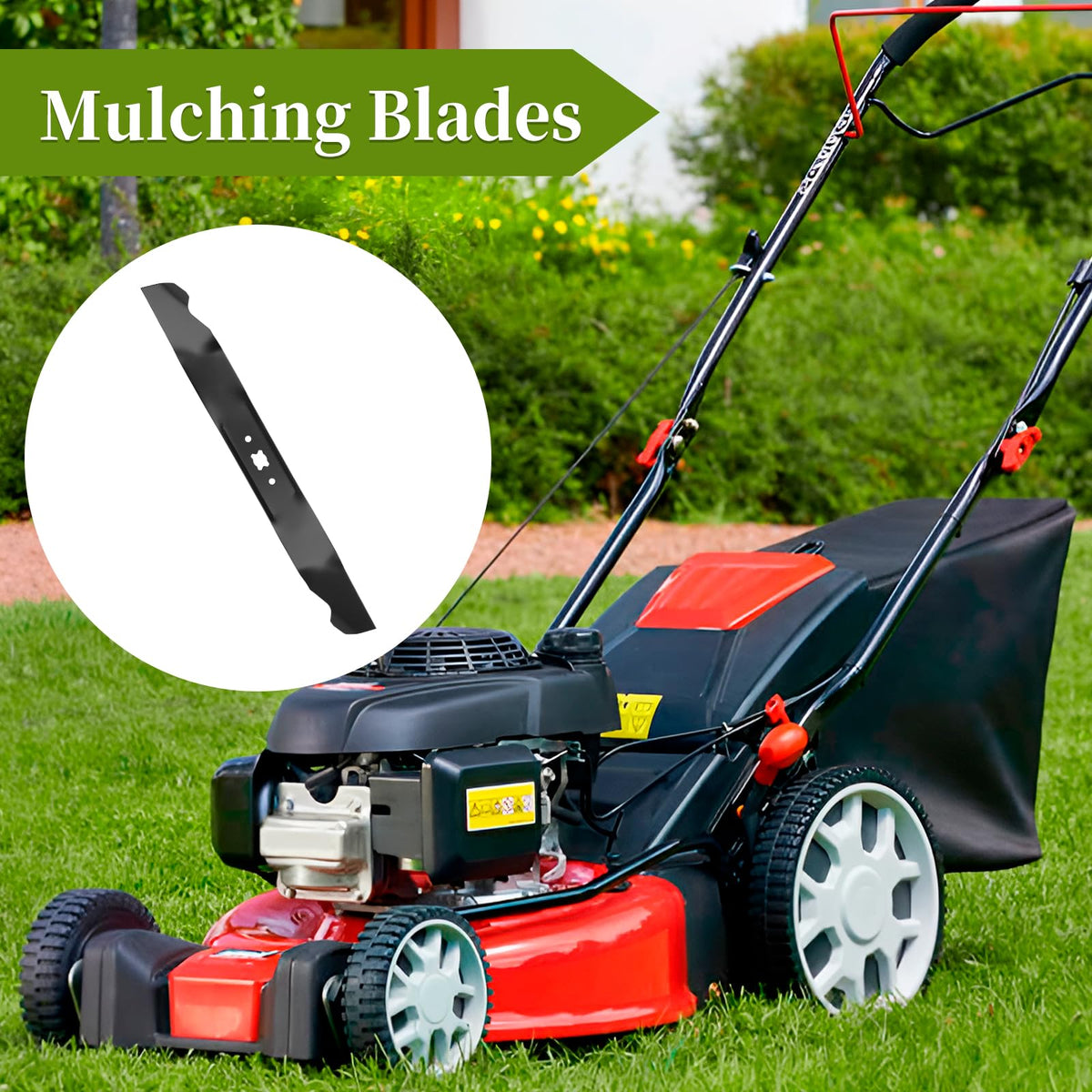 Bularie replacement blade comes with one blade per pack.