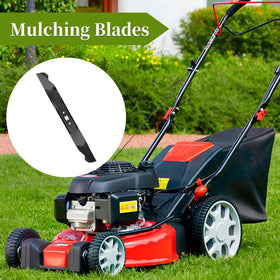 Bularie replacement blade comes with one blade per pack.