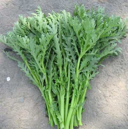 BULBORIUM garland chrysanthemum seeds pack for beds and containers