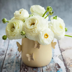Bulborium white ranunculus cut flowers ideal for elegant arrangements