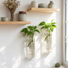 Bunhut flower arrangement glass planters showcased on walls.