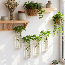 Bunhut wall planters brighten bathroom with transparent, modern design.