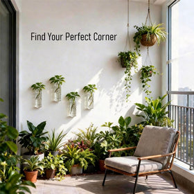 Clear Bunhut wall planter highlighting hydroponic displays and lush foliage.