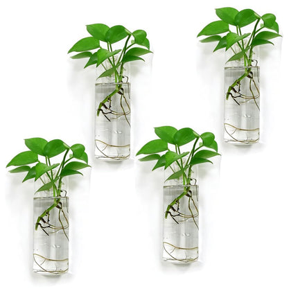 Bunhut wall planter in clear glass for propagation with visible roots.