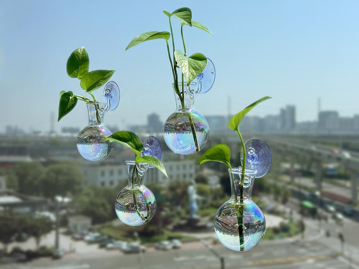 Gift-ready Bunmery propagation station setup shown as a stylish home decor display