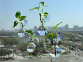 Gift-ready Bunmery propagation station setup shown as a stylish home decor display