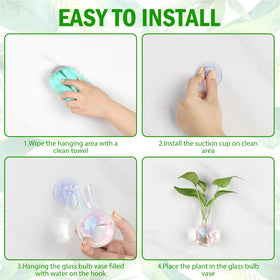 Glass bulb vase with water and plant inside for propagation display