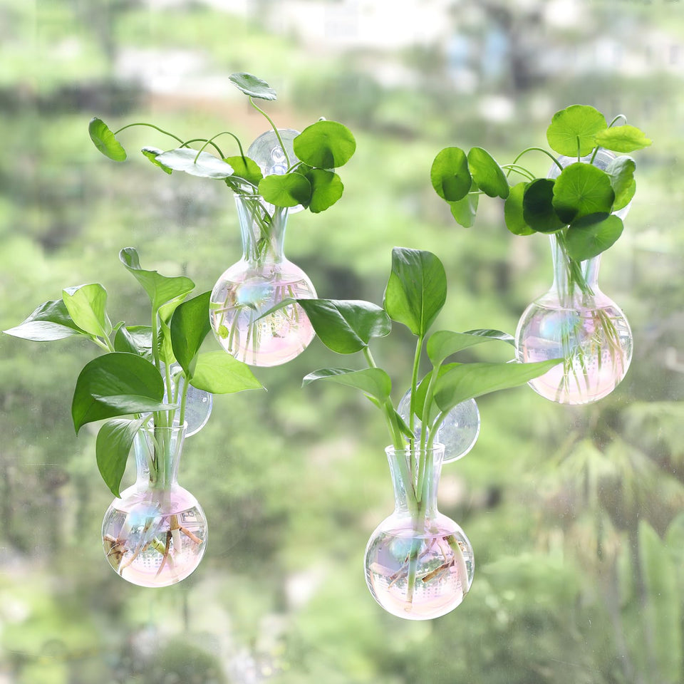Bunmery iridescent window propagation set with four glass bulb vases displayed on a sunny windowsill