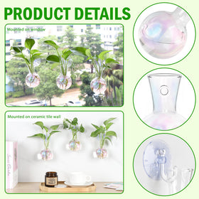Suction cups attached to a smooth window surface ready to hang Bunmery vases