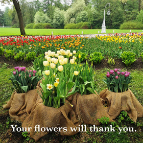 Burloptuous burlap tree wrap idea protects young plants and soil