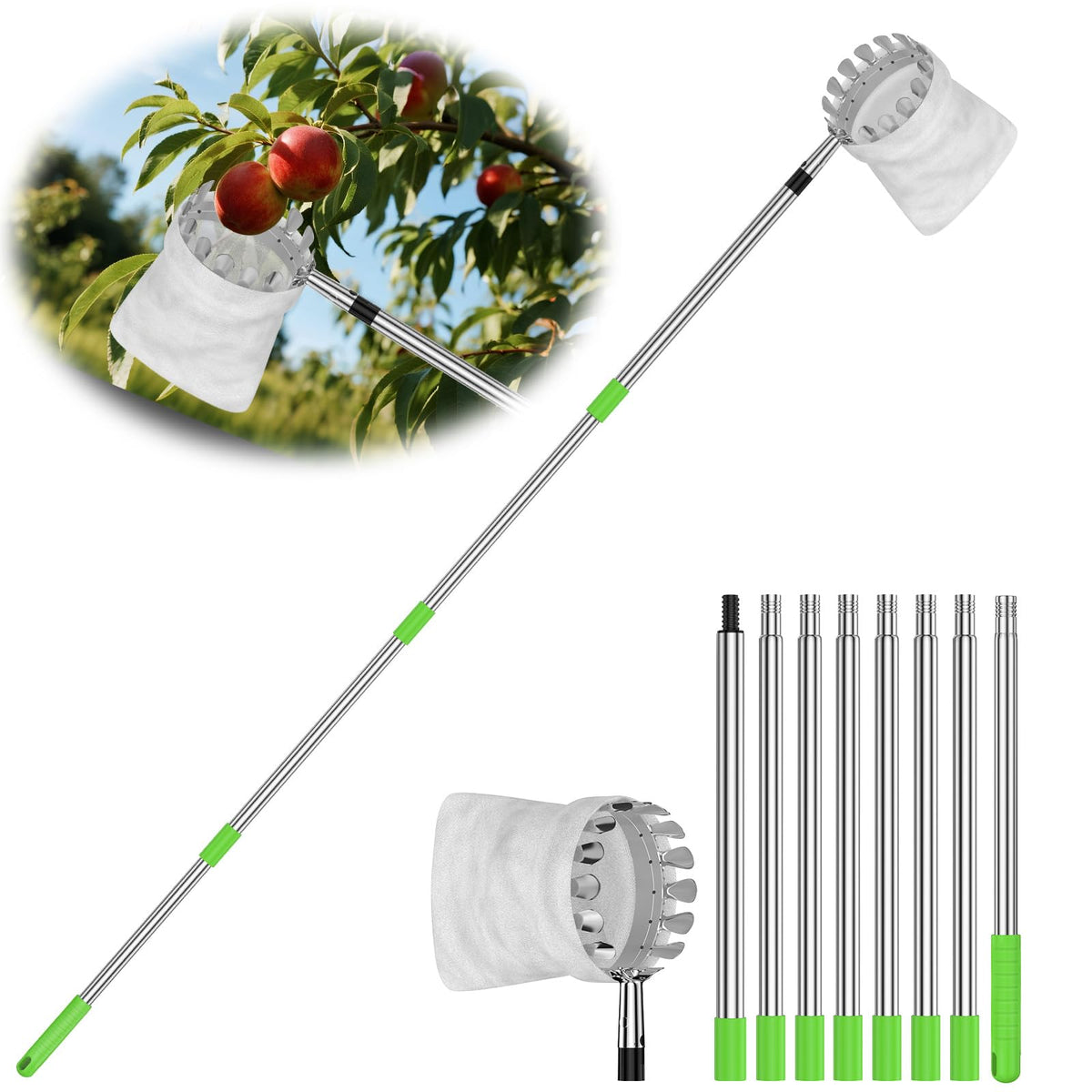 BURMONG 6.6ft fruit picker pole extends reach for medium-height trees.