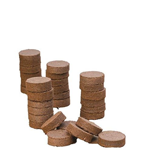 Burpee 32Count XL coir pellets closeup, showcasing moisture retention for seed starting