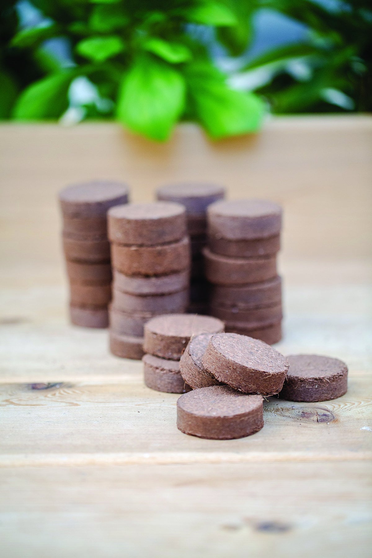 Burpee 32Count XL coir pellets expanded in water, demonstrating quick expansion for starting seeds