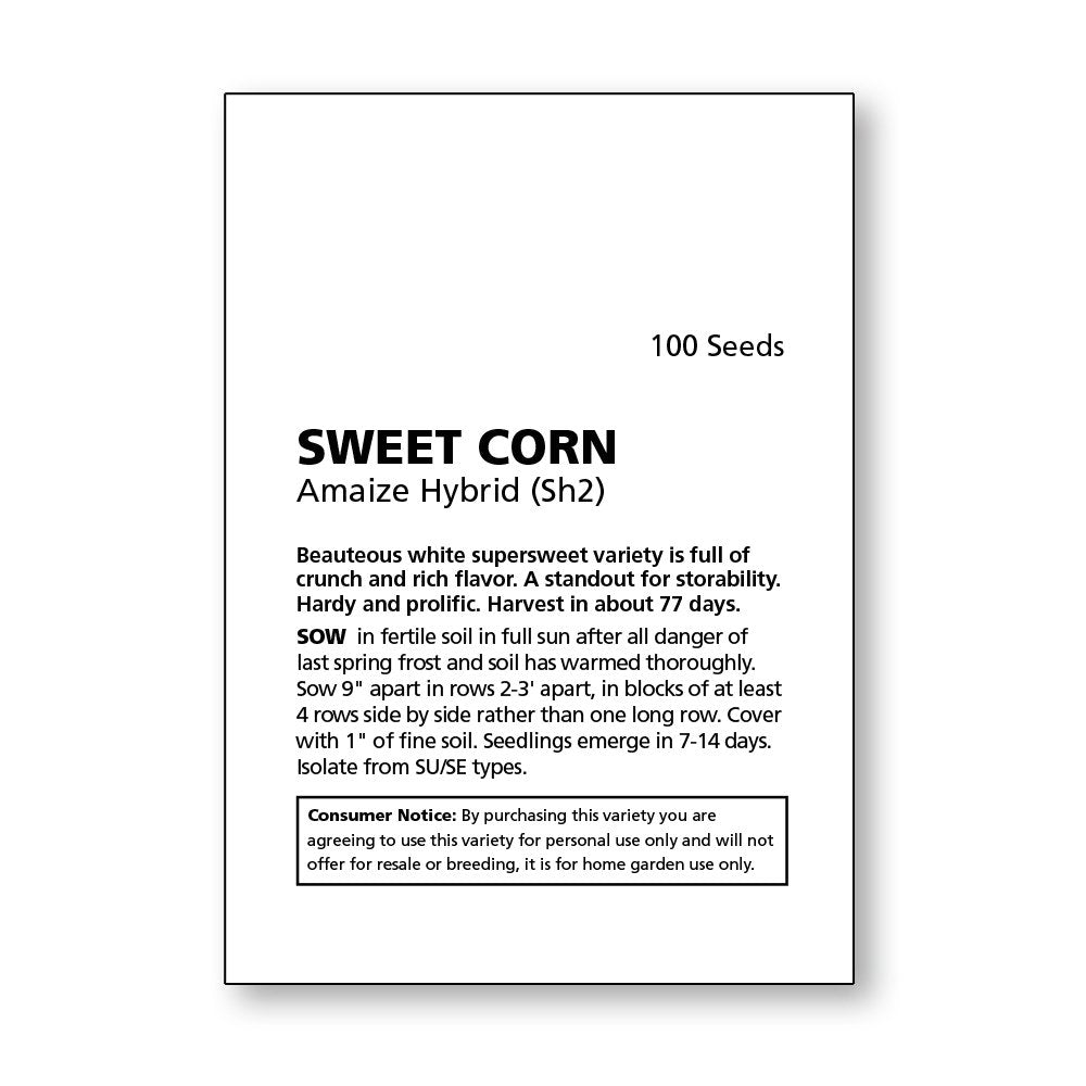 Amaize seeds sprouting in soil close-up, ready for easy backyard cultivation