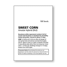 Amaize seeds sprouting in soil close-up, ready for easy backyard cultivation