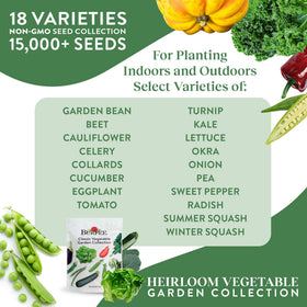 Burpee beans-beets-cauliflower seeds image, perfect for colorful home harvests.